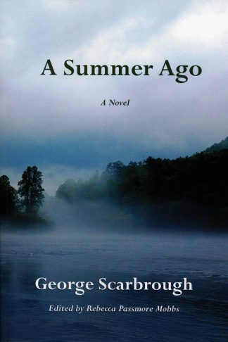 A Summer Ago book cover