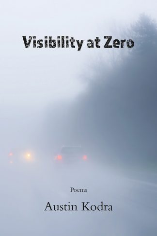 Visibility at Zero book cover