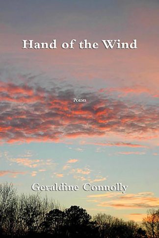 Hand of the Wind cover