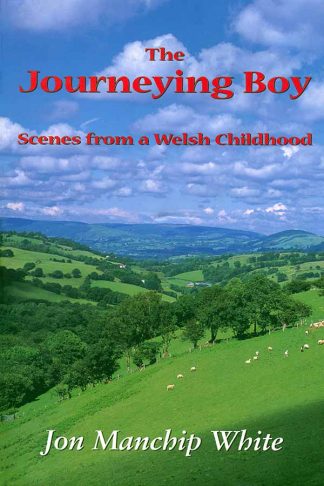 The Journeying Boy cover