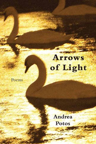 Arrows of Light cover