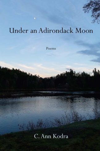 Under an Adirondack Moon cover