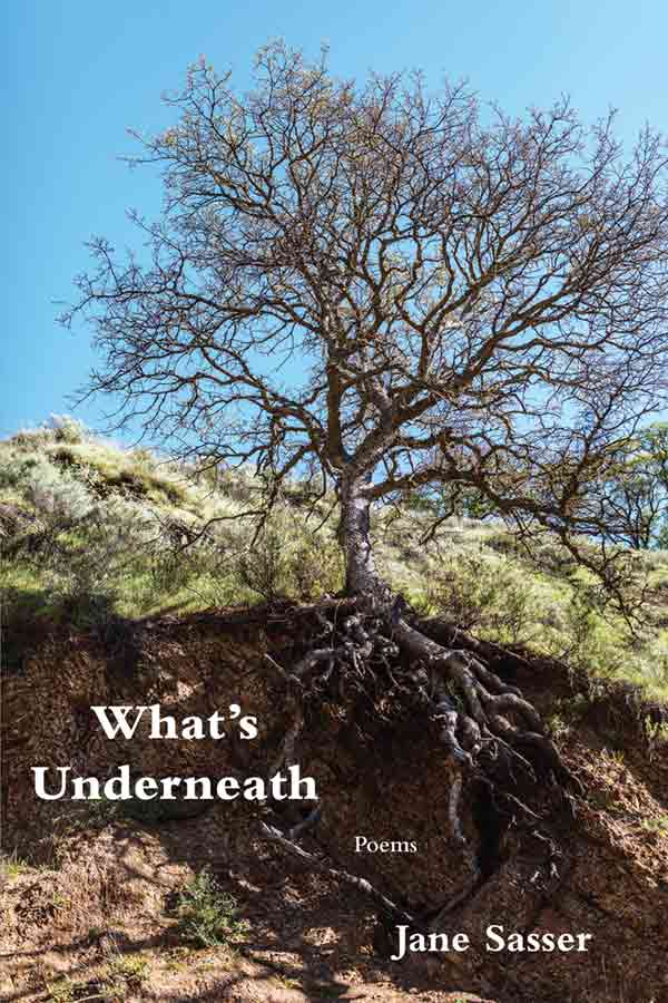 What's Underneath cover image