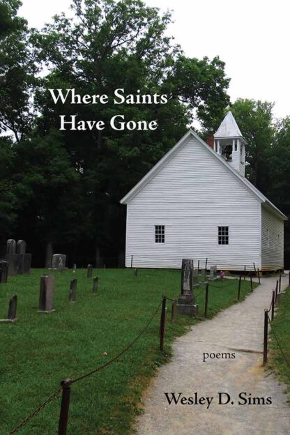 Where Saints Have Gone cover image